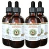 Bladderwrack (Fucus Vesiculosus) Glycerite, Dried Whole Plant Alcohol-Free Liquid Extract, Black Tang, Glycerite Herbal Supplement 4x4 oz