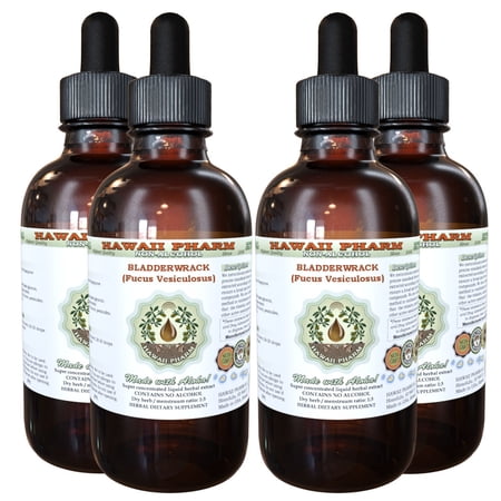 Bladderwrack (Fucus Vesiculosus) Glycerite, Dried Whole Plant Alcohol-Free Liquid Extract, Black Tang, Glycerite Herbal Supplement 4x4 oz