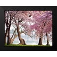 thumbnail image 2 of Anonymous 24x19 Black Modern Framed Museum Art Print Titled - A row of cherry trees bloom at sunrise on the edge of the tidal basin. Washington- USA, 2 of 5