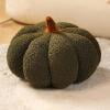 Pumpkins Toys Pumpkins Throw Pillows, Fall Decorative Pumpkins Shaped Pillows Cute Shaped Cushion