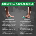 thumbnail image 4 of Foot Roller Theraband, versión totalmente nueva, verde, 4 of 7