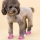 thumbnail image 3 of pares de botas para perros, calcetines para perros, calcetines antideslizantes para perros, zapatos para perros, botas grandes para perros, patas lesionadas, impermeables, color rosa, talla 1, 3 of 5