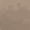 Beige, variant on Seamless High Waist Breathable Invisible Briefs Thongs for Women Beige L