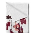 thumbnail image 2 of Fruit Soft Flannel Fleece Blanket, Vine Branch with Colorful Grapes Agriculture Themed Illustration Healthy Food Options, Cozy Plush for Indoor and Outdoor Use, 50" x 60", Multicolor, by Ambesonne, 2 of 5