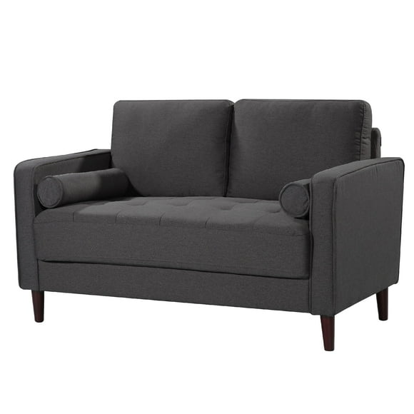 Modern Sleeper Loveseat