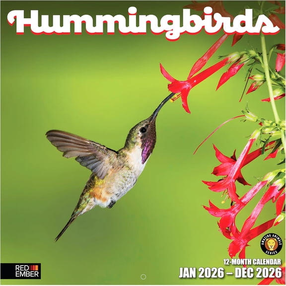 Hummingbirds 2026 Wall Calendar 12 Month | 12" x 24" Open | Thick & Sturdy Paper | Holiday Gift | Bird Calendar 2026