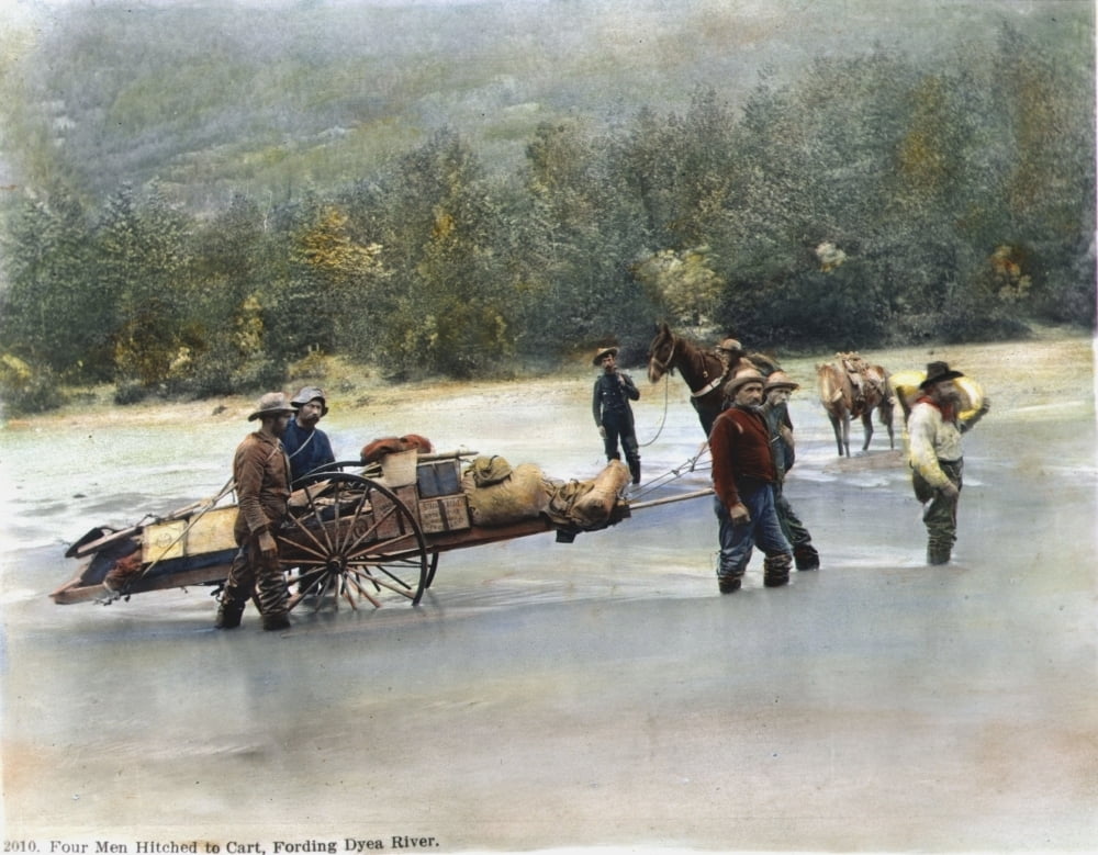 yukon gold rush yukon gold rush
