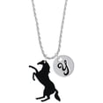 thumbnail image 1 of Delight Jewelry Acrylic 1.5 Black Horse Silvertone Script Initial Disc - Y - Charm Necklace, 20"+3", 1 of 4