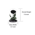 thumbnail image 2 of Rosas preservadas en cúpula de cristal Perfectione Roses Black, 2 of 4