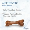 thumbnail image 5 of Nylabone Strong Chew Gourmet Style Femur Puppy Chew Toy Bacon Small (1 Count), 5 of 14