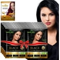 thumbnail image 1 of Champú tinte capilar Herbishh con Mascarilla capilar de Argan Tamaño de Viaje 10+1 pack Negro, 1 of 8