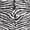 ARN015-BLACKANDWHITE, variant on KUETH 2x3 Leopard Area Rugs Machine Washable Rugs for Living Room, Non Slip Flat Pile Rug with Rubber Backing, Modern Rug for Entryway Bedroom Dining Room Home Office