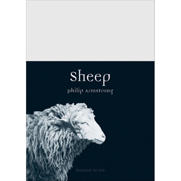 Pre-Owned Animal: Sheep (Paperback)