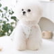 thumbnail image 5 of Vestido de princesa para perro, falda de encaje brillante con lazo bordado, ropa para mascotas, para boda, fiesta de cumpleaños, ropa para gato, 5 of 7