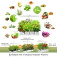 thumbnail image 5 of GrowLED Indoor Herb Garden, Height Adjustable Grow Light with 8/12/16/24H Smart Timer, White（Pots Not Included）, 5 of 6