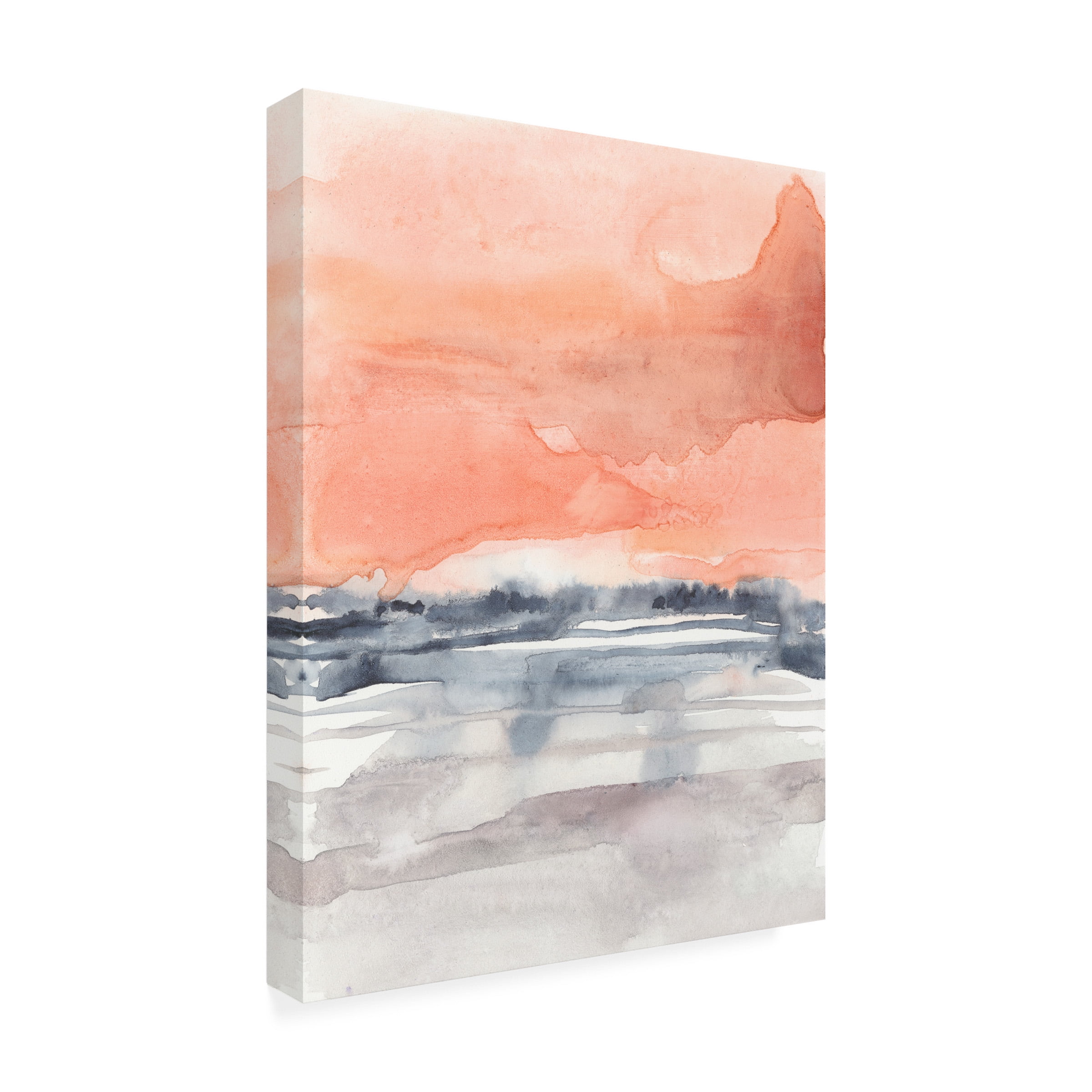 Jennifer Goldberger 'Coral Sky I' Canvas Art