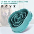 thumbnail image 3 of Elevated Dog Bowls Foldable Food Water Feeding Bowls, 3 of 5