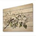 thumbnail image 2 of Designart "Apple Blossom Monochromatic gracefulness XXVIII" Apple Blossom Print on Natural Pine Wood, 2 of 5