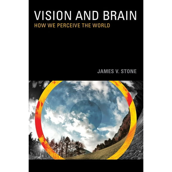 Vision and Brain : How We Perceive the World (Paperback)