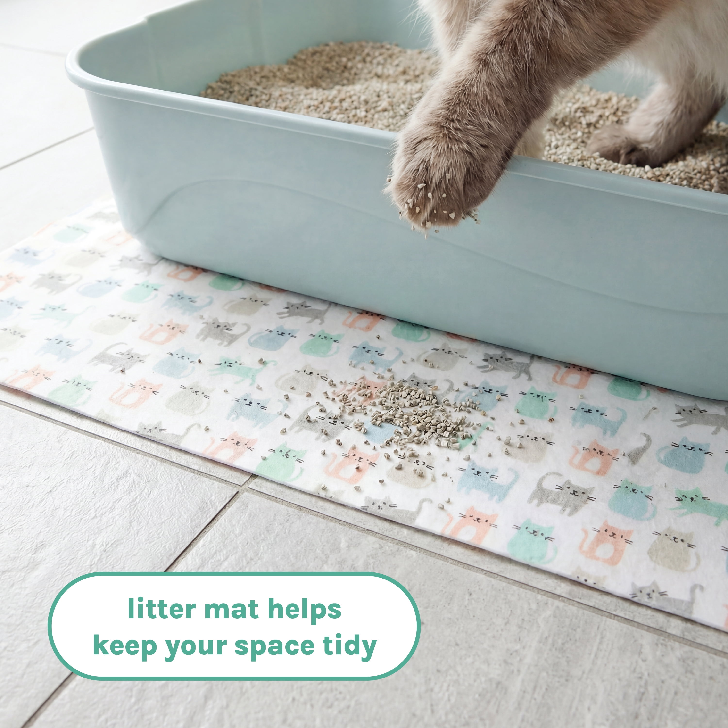 Kitty City Plastic Open Top Kitten Litter Box 4-Pack Starter Set, Multicolored, One Size