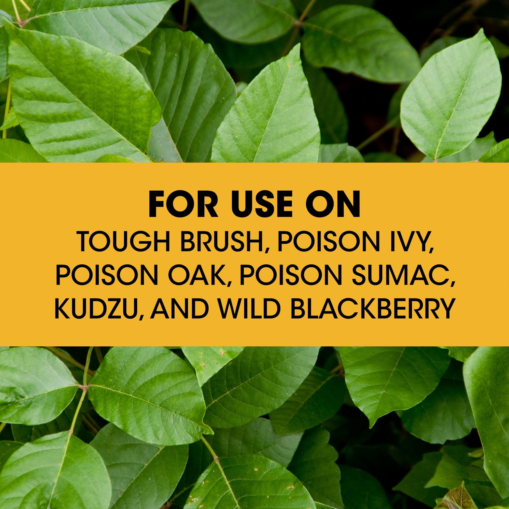 Roundup Concentrate Poison Ivy Plus Tough Brush Killer, 32 oz. - 3