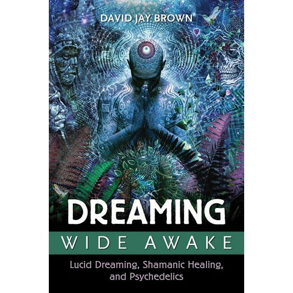Dreaming Wide Awake : Lucid Dreaming, Shamanic Healing, and Psychedelics (Paperback)