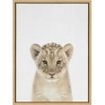 thumbnail image 2 of Kate and Laurel Sylvie Baby Lion Color Framed Canvas Wall Art by Simon Te of Tai Prints, 18x24 Natural, Adorable Animal Art Wall Décor, Kids Room, Playroom, 2 of 6