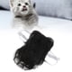 thumbnail image 5 of Peluca para Perro, Peluca de Cosplay Para Perro y Gato, Disfrazs para Perros Pequeños, Ropa para Perros, Gorros Divertidos para Mascotas, Desfaces, Tocados para Pelucas, 5 of 7