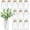 Transparent-12, variant on Glass Flower Vase Amber 12-Pack Farmhouse Centerpiece for Weddings Home Decor