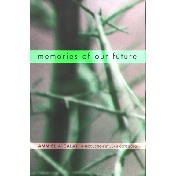 Memories of Our Future : Selected Essays 1982-1999 (Paperback)