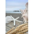 thumbnail image 2 of Blaustein, Alan 11x14 White Modern Wood Framed Museum Art Print Titled - Crescent Beach Shells 12, 2 of 4
