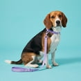 thumbnail image 2 of Vibrant Life 6' Neoprene Cushioned Leash, Lavender, M/L, 2 of 10