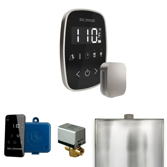 Mr Steam ButlerFlex Steam Shower Ctrl Pkg w/TempoFlex Control and Steamhead in Black Brushed Nickel