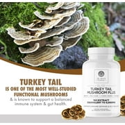 DR. EMIL NUTRITION Elite Turkey Tail Mushroom Plus, 30 Servings, 2 Pk