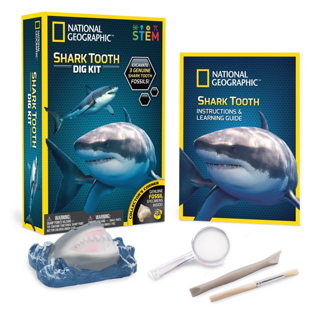 National Geographic Shark Tooth Dig Kit, Includes 3 Real Shark Tooth
