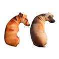 thumbnail image 1 of 2x Almohada de para perro Almohada de para abrazar Almohadas para Zulema Arrojar la almohada, 1 of 8