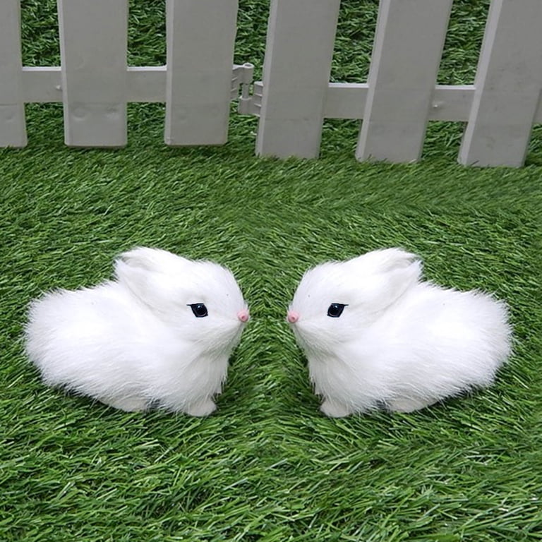 Fluffy White Baby Bunny