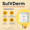 thumbnail image 2 of SulVDerm: Pasta de Azufre Avanzada para la Salud de la Piel en Animales de Compañía, 2 of 5