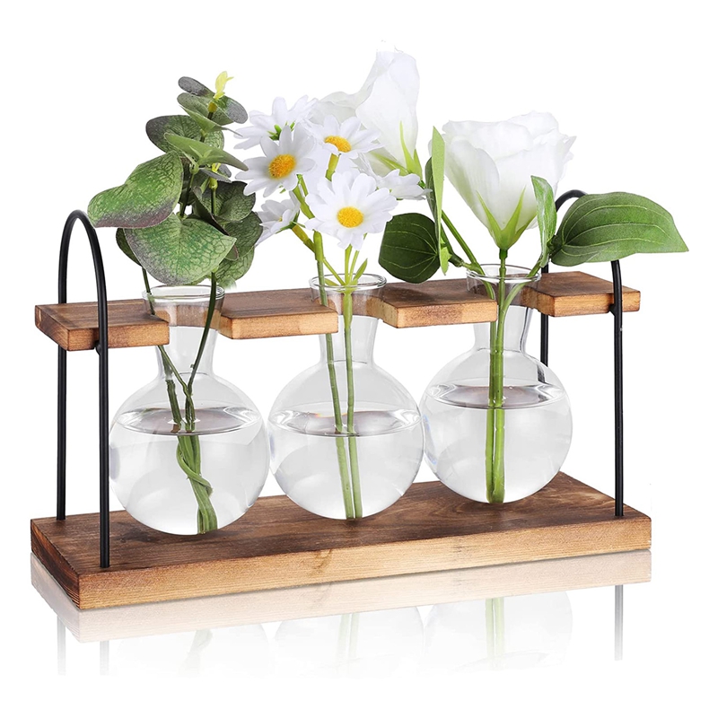 Plant Propagation Station with Wooden Stand,Plant Terrarium Desktop