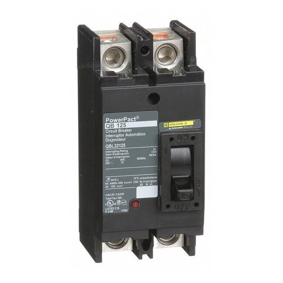 Square D Circuit Breaker,125A,2P,240VAC,QB QBL22125