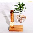 thumbnail image 5 of Floreros de plantas hidropónicas modernas, maceta Vintage, marco de madera, decoración de mesa Ehuebsd Libre de BPA, 5 of 5