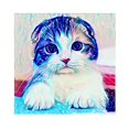 thumbnail image 4 of Pintura de diamante 5D Macarena Kits de Rhinestone Gato colorido, 4 of 7