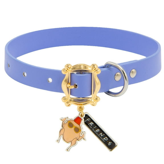 Buckle-Down Dog Collar, Friends, Monicas Peephole Frame Cast Buckle with Turkey and Friends Charms, Extra Small 6 to 9 Inch Length 0.38 Inches Wide