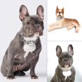 thumbnail image 3 of Silver Dogs Collar Metal Choker Cuban Chain For Small Medium Large American Pitbull French Bulldog, 3 of 7
