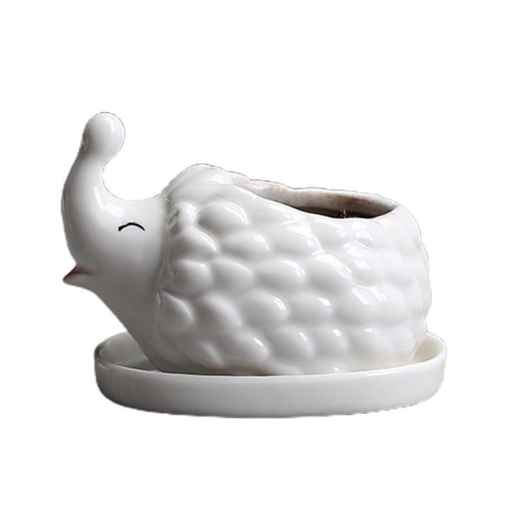 White Ceramic Succulent Flower Plant Pot with Saucer Animal Decor Hedgehog 