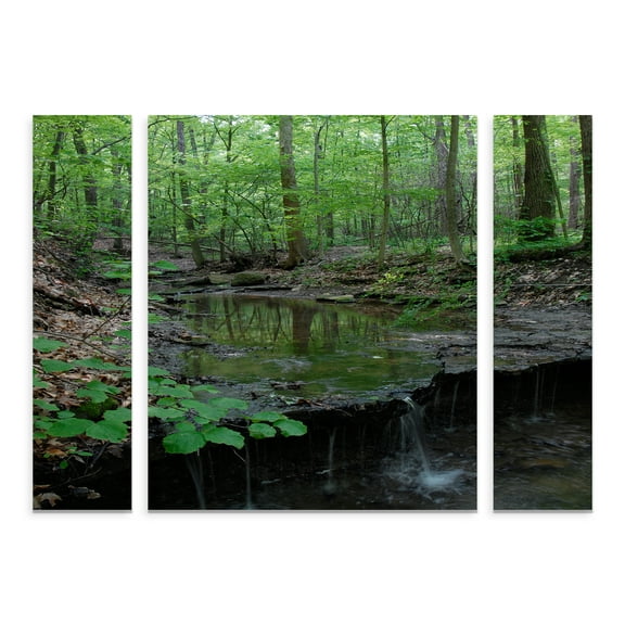 Trademark Fine Art 'Tiny Forest Falls' Canvas Art by Kurt Shaffer