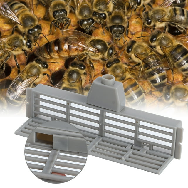 Conveniente Herramienta De Apicultura, Práctica Herramienta Anti Escape De Abejas, Apicultor Reina