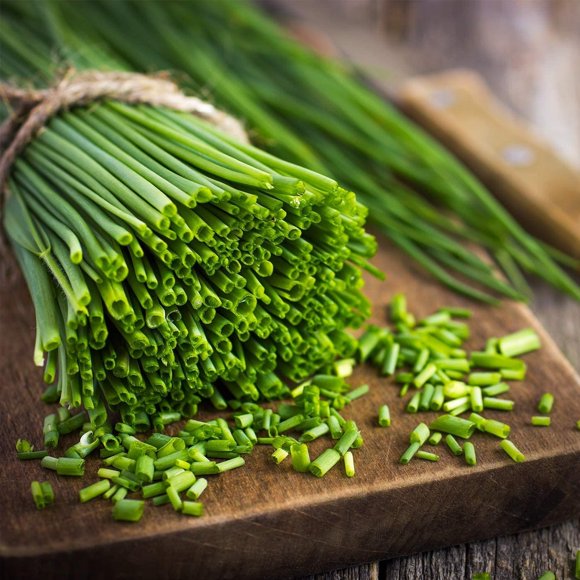 GSDWIUEW 300+ Chives Onion Bohemianter (Allium schoenoprasum)-Vegetable Green