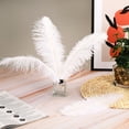 thumbnail image 4 of 150 Pcs Natural Ostrich Feathers Centerpieces for Wedding Party Centerpieces, Flower Arrangement (White), 4 of 6