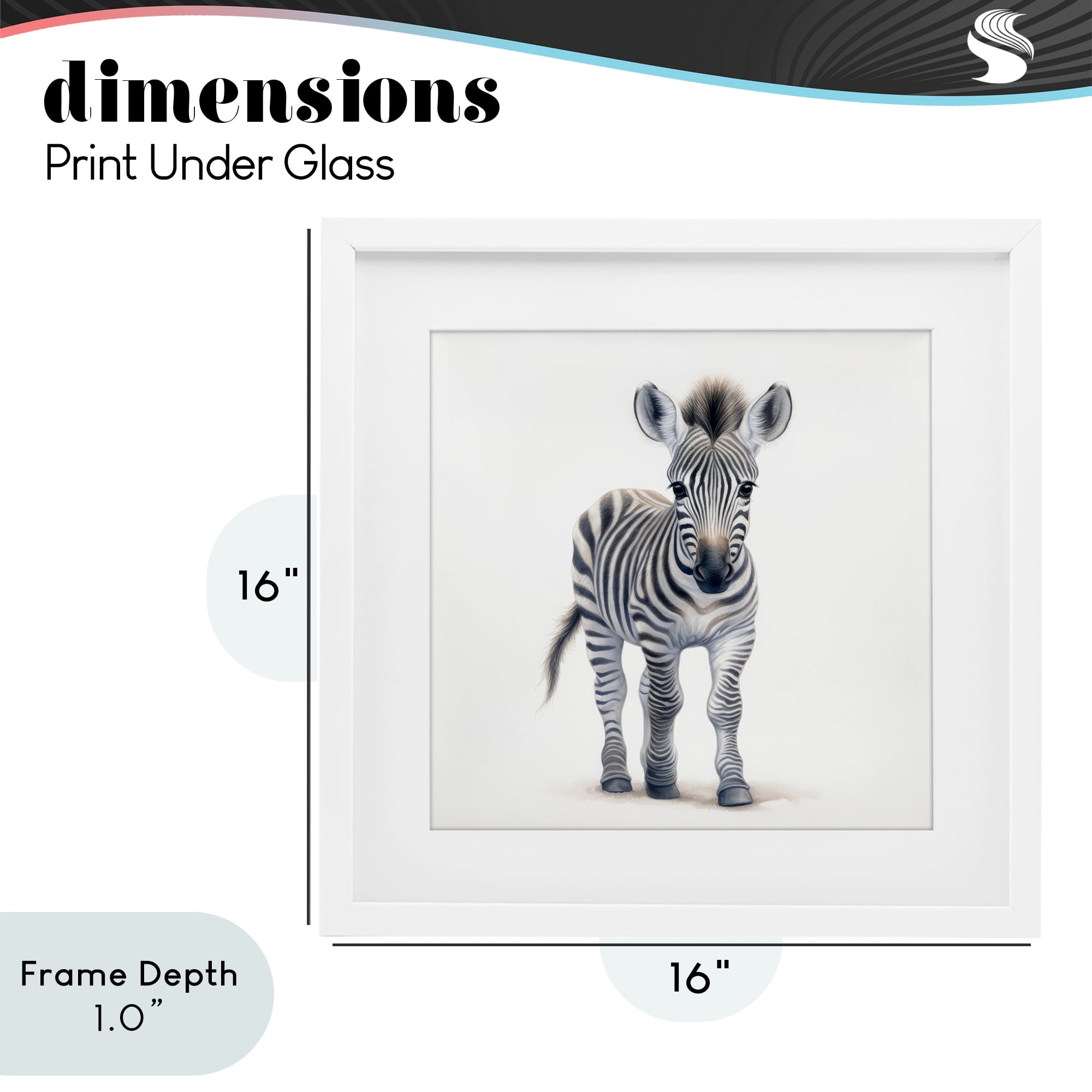 Stupell Industries Friendly Zebra Foal White Framed Print Under Glass, design by Ray Powers